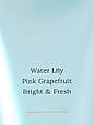 Лосьйон для тіла Victoria's Secret Fragrance Lotion Aqua Kiss new, фото 2