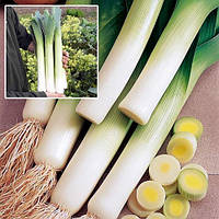 Лук "Порей" 1г