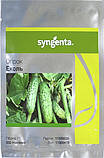 Огірок Еколь F1 50 нас Syngenta ЗІП, фото 2