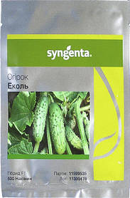 Огірок Еколь F1 500 нас Syngenta
