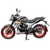 Мотоцикл Spark SP250R-35 (Заводське паковання) (Чорний з червоним), фото 2