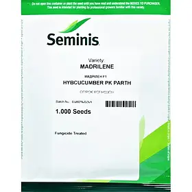 Огірок Мадрілене F1 Seminis 1000 нас
