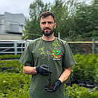 Саджанці Агрусу Ковчег - середньо-пізній, високоврожайний, зимостійкий, фото 3