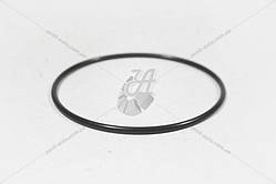 Прокладка помпи Lanos, Aveo, Lacetti (кільце) (гума) (KG0400223RU) (KAP)