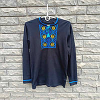 Вишиванка чоловіча чорна довгий рукав "Герби"