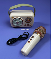 Караоке, блутуз колонка з мікрофоном, на акумуляторі, C 73465  Bluetooth,