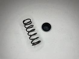 Пружина внутрішнього ШРУСу Fiat Ducato 250, Peugeot Boxer 3, Citroen Jumper 3 (2006-2014)