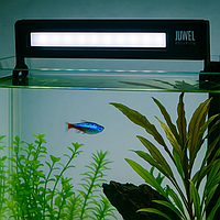 Освітлення для акваріума