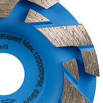 Фреза алмазна DGS-S 100/22,23-7 Bestseller Expert, фото 2