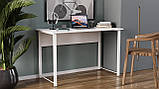 Комп'ютерний стіл Ferrum-decor Курт 75x120x70 білий ДСП Білий 16мм (FRD-102236), фото 6