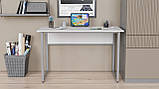 Комп'ютерний стіл Ferrum-decor Коді 75x120x60 сірий ДСП Білий 16мм (FRD-101661), фото 4