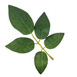 Штучне листя троянди, зелене, 250 г Solar Moon