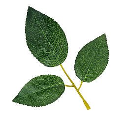 Штучне листя троянди, зелене, 250 г Solar Moon