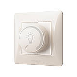 Димер LED 200Вт кремовий VIDEX BINERA, фото 3