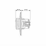 Димер LED 200Вт кремовий VIDEX BINERA, фото 6