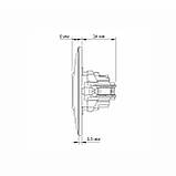 Розетка одинарна із заземленням срібний шовк VIDEX BINERA, фото 6