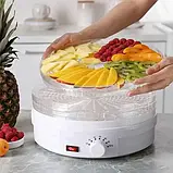 Харчова сушарка Rainberg RB-912 на 5 секцій 800 Вт, Кухонна електричний дегідратор для домашнього FOCUS, фото 2
