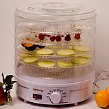 Харчова сушарка Rainberg RB-912 на 5 секцій 800 Вт, Кухонна електричний дегідратор для домашнього FOCUS, фото 4