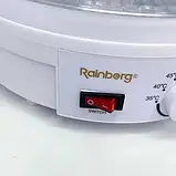 Харчова сушарка Rainberg RB-912 на 5 секцій 800 Вт, Кухонна електричний дегідратор для домашнього FOCUS, фото 5