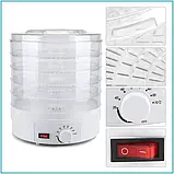 Харчова сушарка Rainberg RB-912 на 5 секцій 800 Вт, Кухонна електричний дегідратор для домашнього FOCUS, фото 8