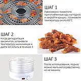 Харчова сушарка Rainberg RB-912 на 5 секцій 800 Вт, Кухонна електричний дегідратор для домашнього FOCUS, фото 9