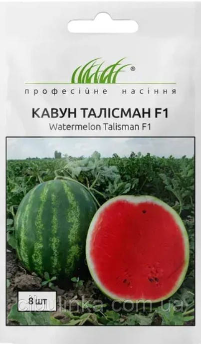 Кавун Талісман F1 Nunhems/Нідерланди 8 шт, фото 1