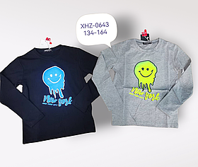 Реглан для хлопчика оптом, Active Sport, 134-164 рр., Арт. XHZ-0643