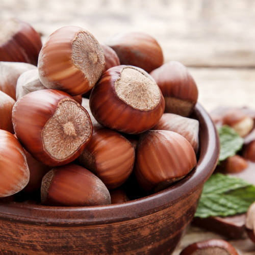 Саджанці фундука "Караманівський" (відводок)