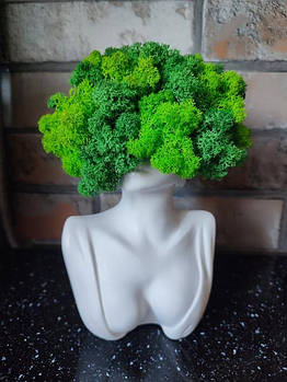 СТАБІЛІЗОВАНЬ МОХ