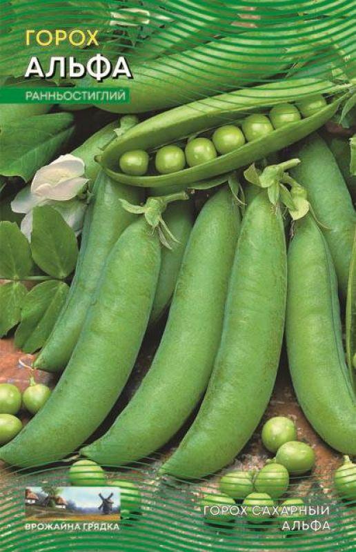 Насіння Горох Альфа 40 г ТМ Урожай, фото 1