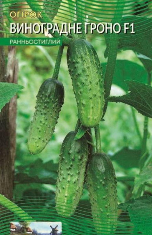 Насіння Огірок Виноградне гроно 0,5 г ТМ Урожай, фото 1