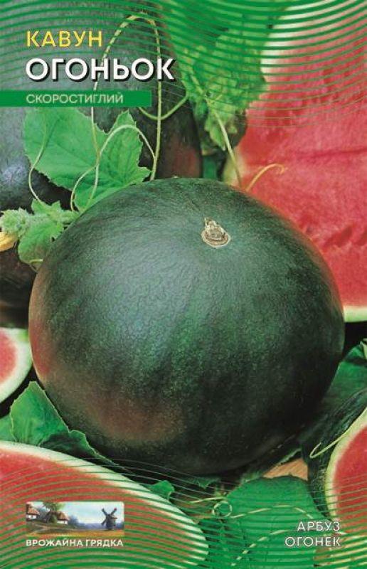 Насіння Кавун Огоньок 1 г ТМ Урожай