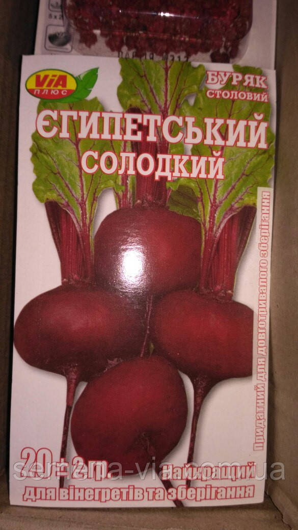 Насіння буряків єгипетське плоске (20 грамів) ТМ VIA плюс