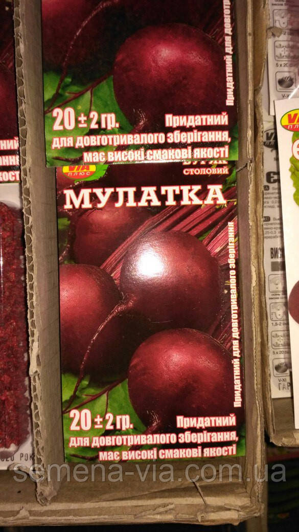 Насіння буряка Мулатка (20 грамів) ТМ VIA плюс