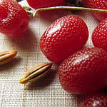 Ягоди гумі: лікувальні властивості