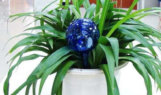 Шар для полива растений Аква Глоб (Aqua Globes) Маленький - фото 2 - id-p475266726