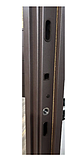 Вхідні двері Форест Браун вулиця (метал-МДФ) з терморозривом, фото 2