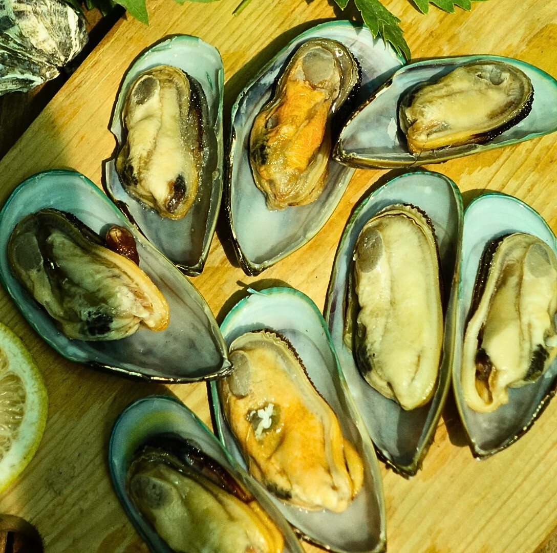 Новозеландські зелені мідії в половинці черепашки, 1кг/уп - фото 1 - id-p624801978