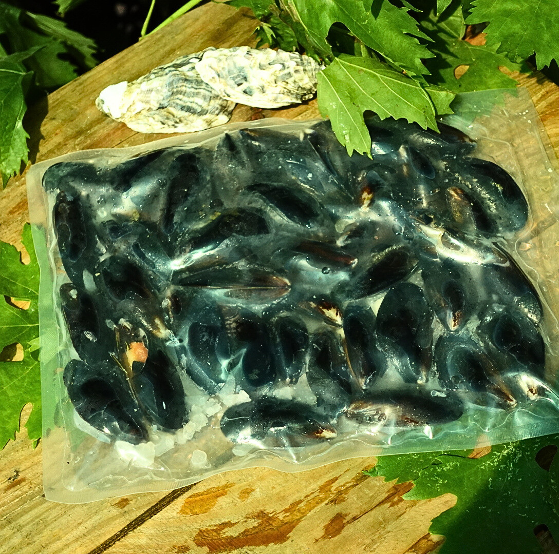 Мідії чілійські в мушлі 6-7 см, вар/мор 1 кг - фото 1 - id-p1617438591