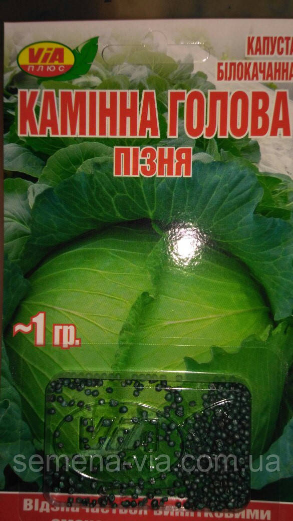 Насіння капусти Кам'яна Голова (1 грам) ТМ VIA плюс