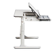 Парта FunDesk Flore Grey (190045), фото 5