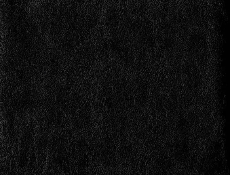 Шкірзам оббивний для меблів Родео 00, фото 1