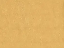 Шкірзам для меблів Родео 01