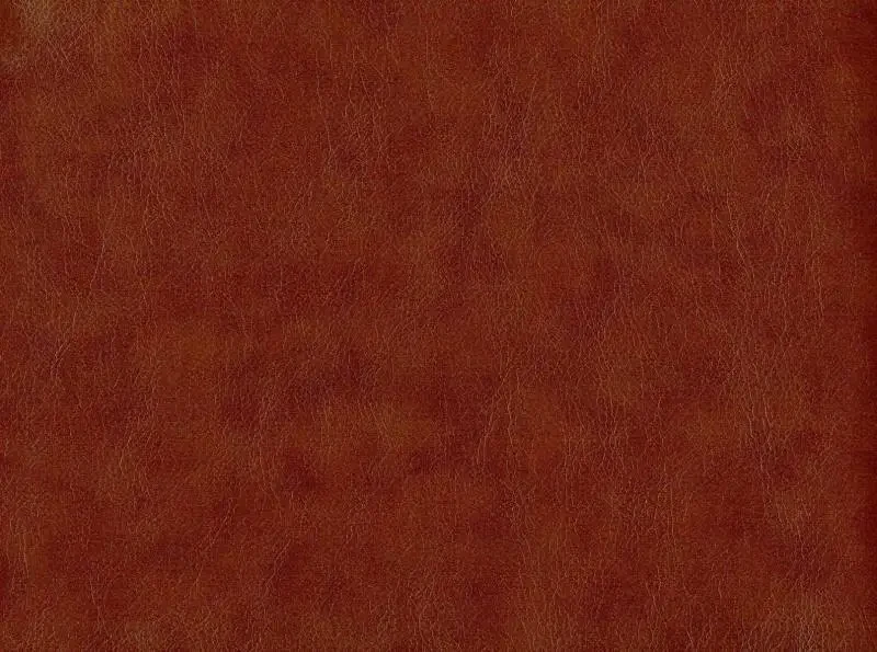 Шкірзам для оббивки дивана Родео 02, фото 1
