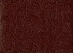 Шкірзам оббивний Родео 05