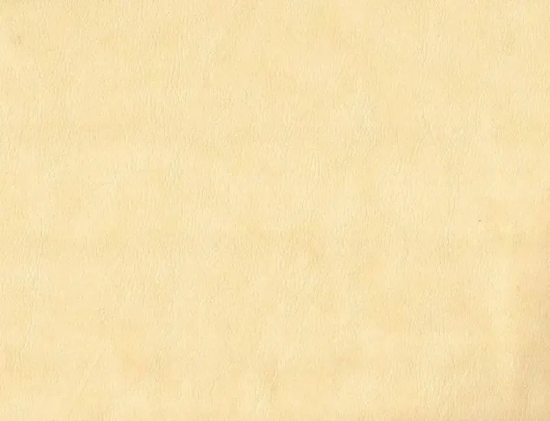 Шкірам оббивний Родео 10, фото 1