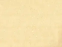 Шкірам оббивний Родео 10