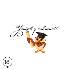 Наліпка на кулю 18" - Успіхів у навчанні