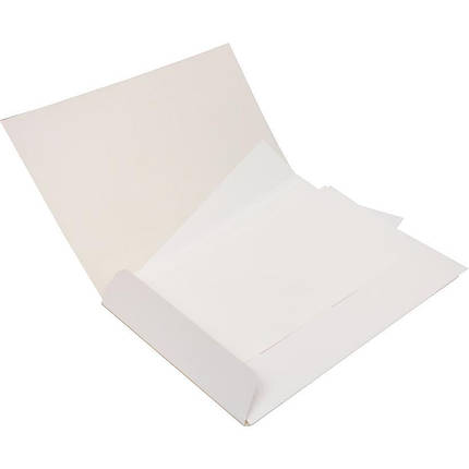 Папір для акварелі (папка) А4, 10 листів, 200 г/м2 РУТЕНІЯ, фото 2