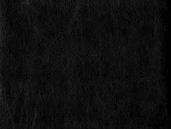 Шкірам оббивний Родео 00